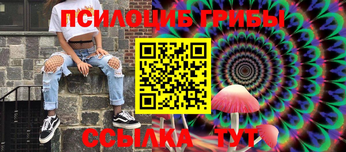 Псилоцибиновые грибы Cubensis  даркнет сайт  Сосновый Бор  Вход с VPN  Псилоцибиновые грибы Cubensis 